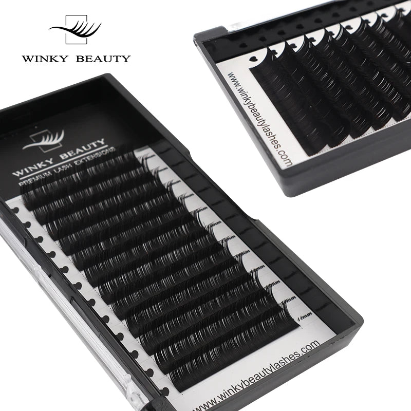 Individual Eyelash Extension