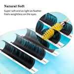 Individual Eyelash Extension